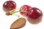 cherry almondine