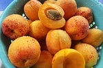 apricot fragrance